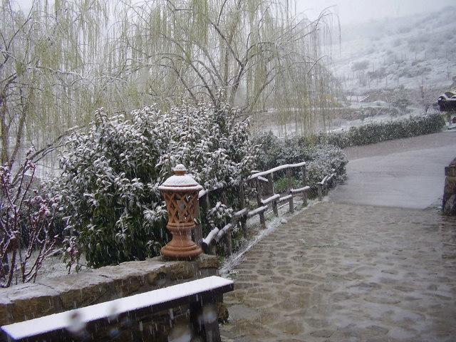 Turismo Rurale Leanza Guest House Cesaro Exterior photo